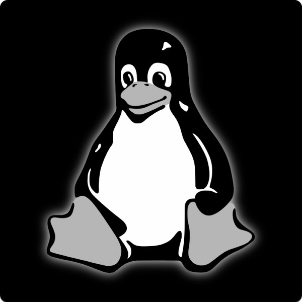 Notebook-Sticker - Pinguin - schwarz/weiss